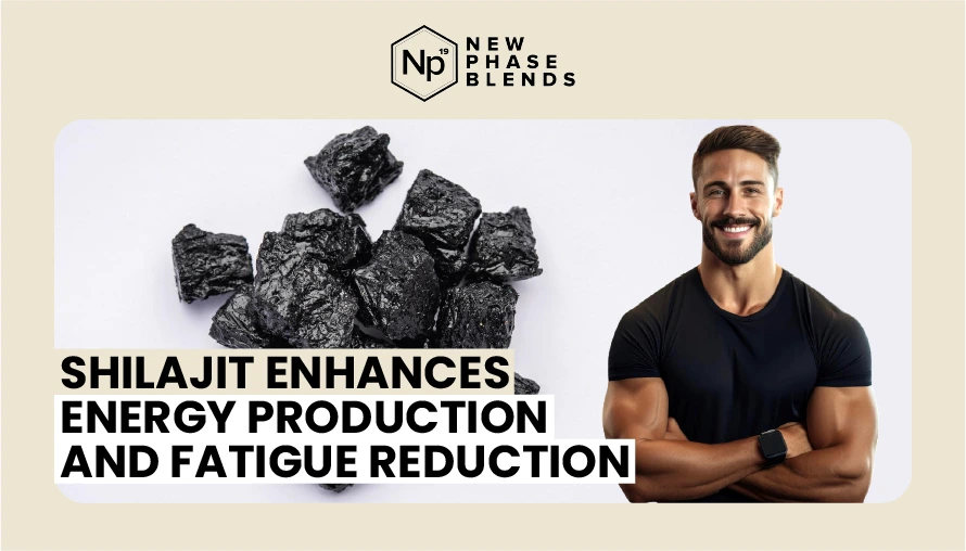 Shilajit Enhances Energy Production And Fatigue Reduction