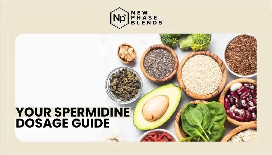 Spermidine Dose Guide Featured Image