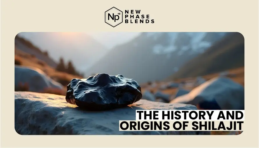 The History and Origins of Shilajit