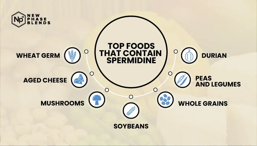 Top Foods That Contain Spermidine 1 Top Foods That Contain Spermidine infographic