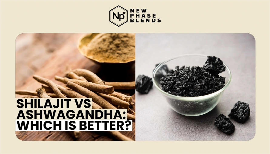 SHILAJIT VS ASHWAGANDHA WHICH IS BETTER